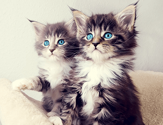 學(xué)習(xí)CAD！每天五個小技巧！這個系列趕快收藏！